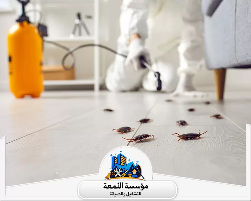 مكافحة الصراصير الصغيرة في المطبخ بالرياض 0504797857 شركة اللمعة خدمة فعالة في مكافحة الصراصير الصغيرة في مطابخ بالرياض باستخدام تقنيات آمنة وسريعة لضمان بيئة نظيفة وصحية