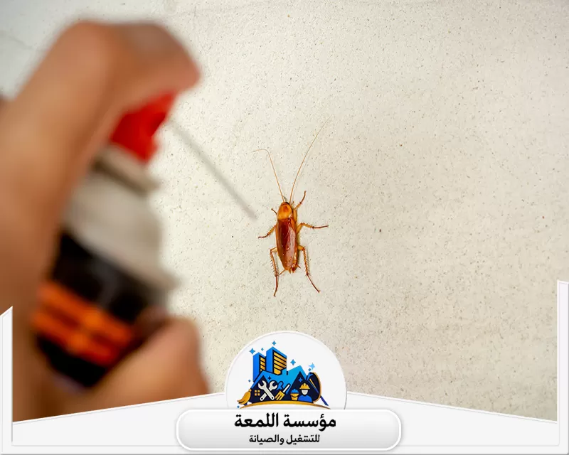 مكافحة صراصير المجاري بالرياض 0504797857 شركة اللمعة خدمة مكافحة صراصير المجاري بالرياض تقدم حلول فعّالة وآمنة للتخلص من الصراصير وضمان بيئة نظيفة وصحية.