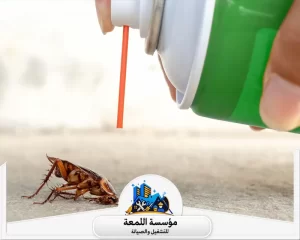 شركة مكافحة الصراصير بالرياض
