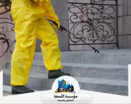 أفضل وقت لرش الحشرات داخل المنزل