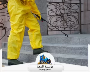أفضل وقت لرش الحشرات داخل المنزل