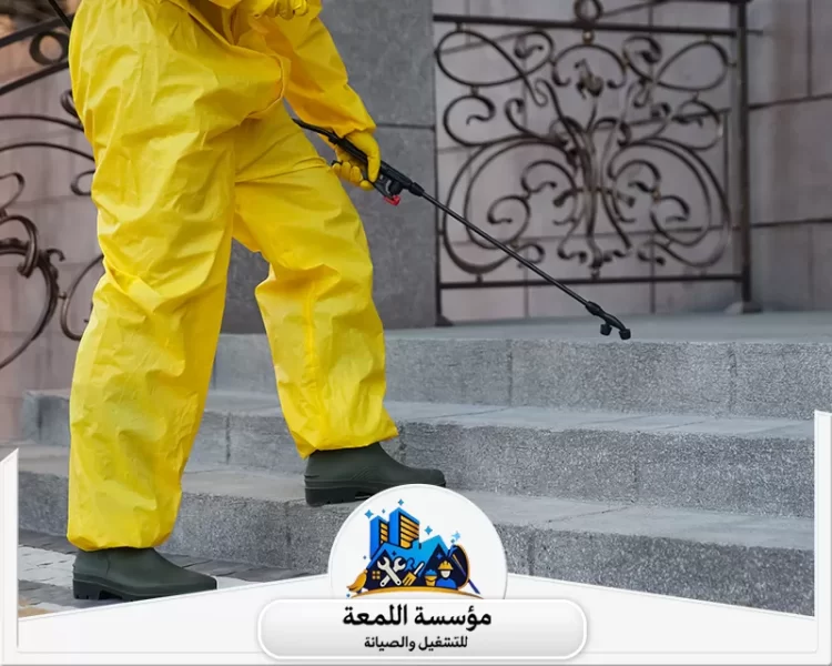أفضل وقت لرش الحشرات داخل المنزل