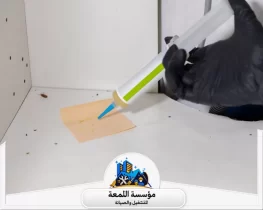 أضرار إهمال مكافحة الحشرات المنزلية