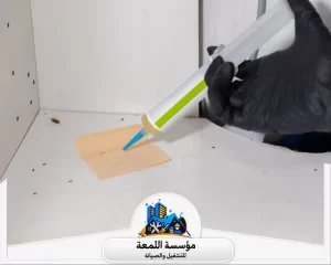 أضرار إهمال مكافحة الحشرات المنزلية
