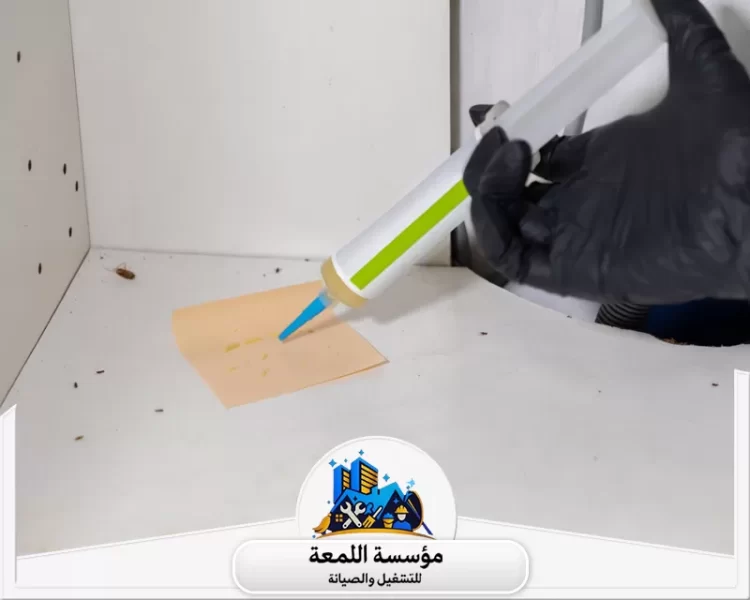 أضرار إهمال مكافحة الحشرات المنزلية