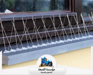 أنواع طارد الحمام المناسبة للمنازل