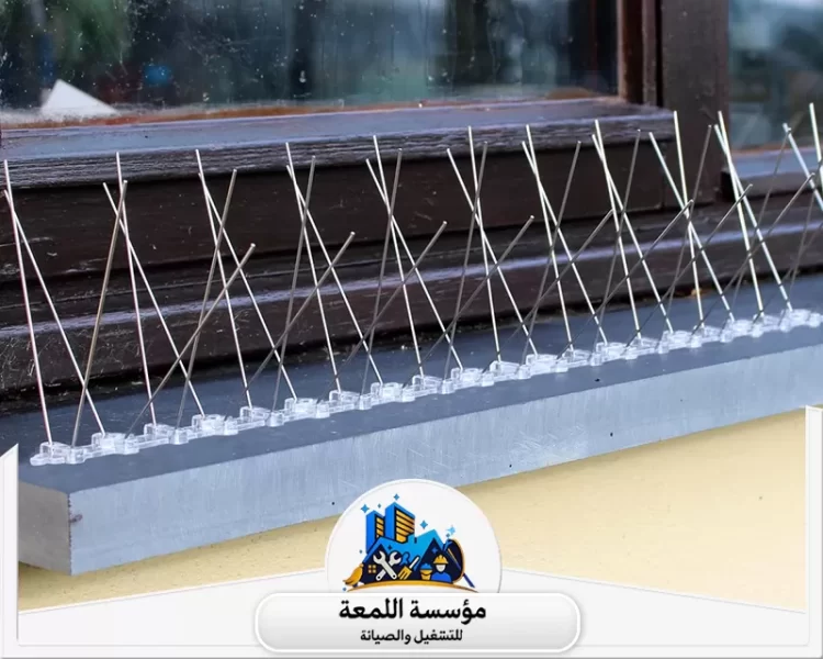 أنواع طارد الحمام المناسبة للمنازل