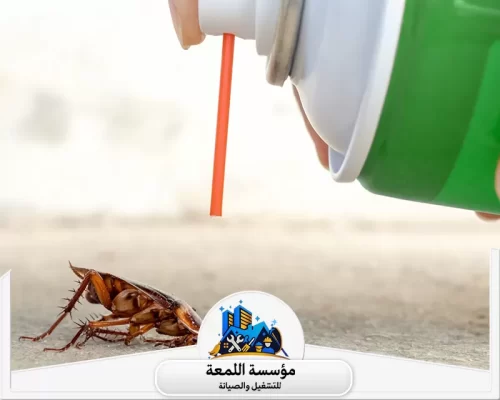شركة مكافحة الصراصير 0502971730 شركة اللمعة استهداف دقيق لبؤر الحشرات لضمان النظافة