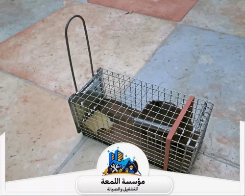 ظهور الفئران في المنزل 0502971730 شركة اللمعة ظهور الفئران في المنزل