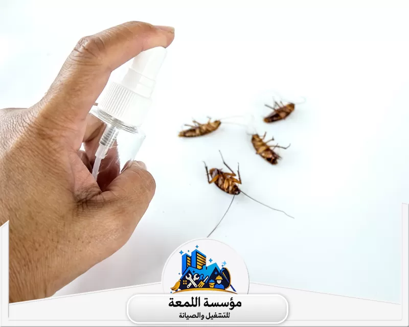شركة مكافحة حشرات 0502971730 شركة اللمعة إبادة فورية للصراصير بأحدث الطرق الآمنة والفعالة من مؤسسة اللمعة.