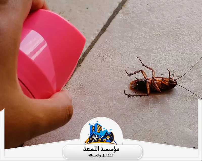 مكافحة الصراصير بالرياض 0502971730 شركة اللمعة استخدام أحدث تقنيات رش الحشرات بأمان واحترافية للتخلص من الآفات داخل المنزل، مع معالجة دقيقة.