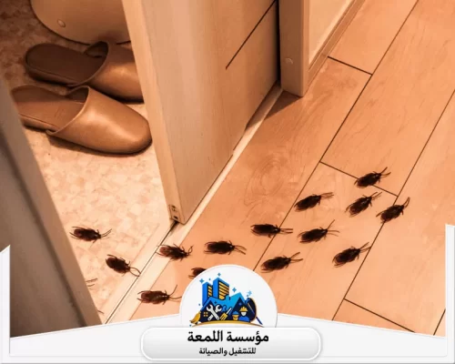 مكافحة الصراصير في المنزل 0502971730 شركة اللمعة خبراء المكافحة لدينا يضمنون التخلص النهائي من الصراصير في منزلك.