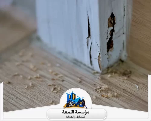 افضل شركة مكافحة حشرات بالرياض0502971730 شركة اللمعة التخلص النهائي من النمل المنزلي بخدمات مؤسسة اللمعة.