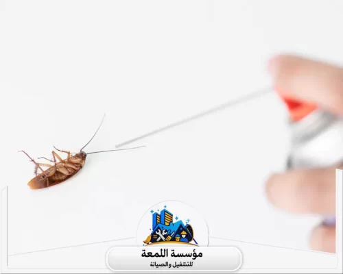 مكافحة النمل الأبيض بالرياض 0502971730 شركة اللمعة متخصصون في مكافحة الآفات المنزلية وحماية منزلك من الحشرات والقوارض عبر رش آمن.