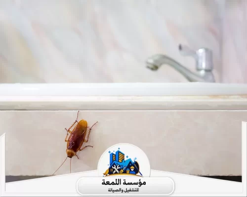 أرخص شركة مكافحة حشرات بالرياض 0502971730 شركة اللمعة استخدام أحدث الأدوات والتقنيات في رش المبيدات، مما يزيد من فعالية العلاج ويقلل الفاقد.