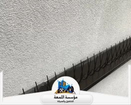أفضل طرق طرد الحمام من النوافذ والشرفات
