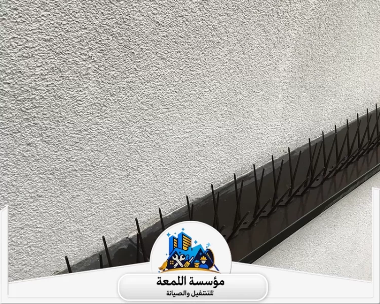 أفضل طرق طرد الحمام من النوافذ والشرفات